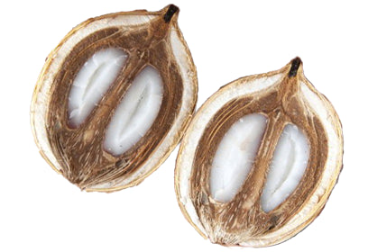 Babassu Oil