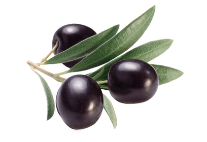 Olive Fruit