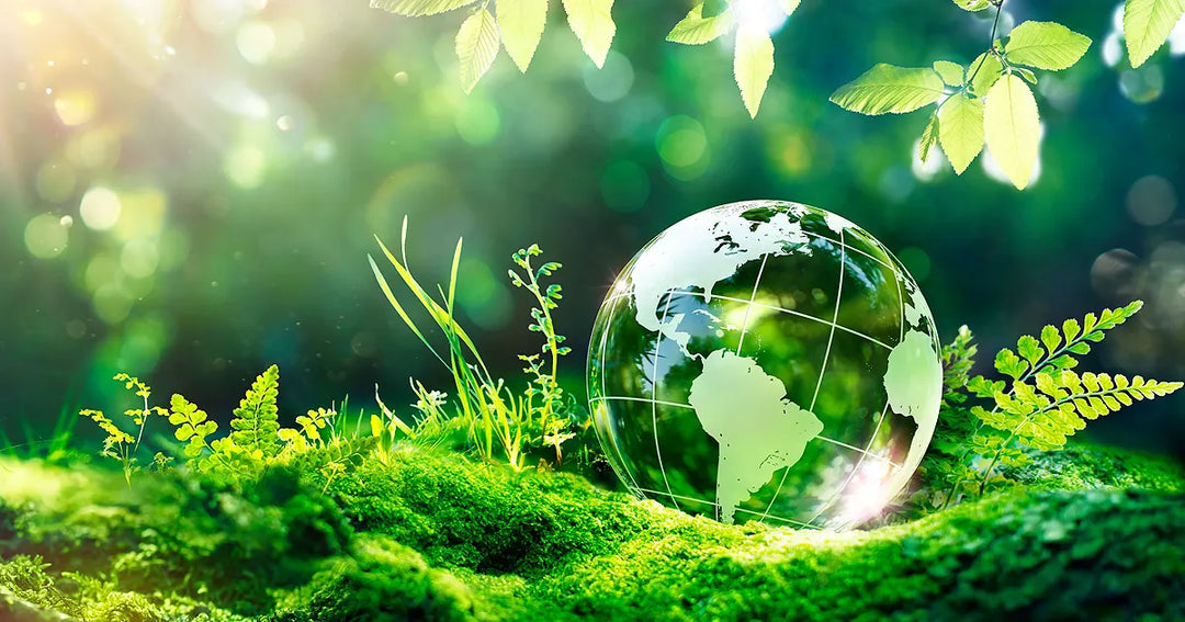 Sustainable Skincare: How Pharmacopia is Helping the Earth