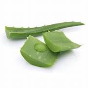 10 Plant-Based Ingredients That Help Heal the Skin