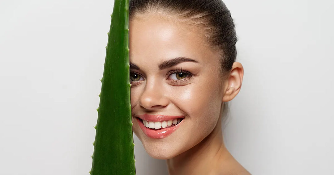 Oh-So-Healing Aloe: All About This Amazing Plant