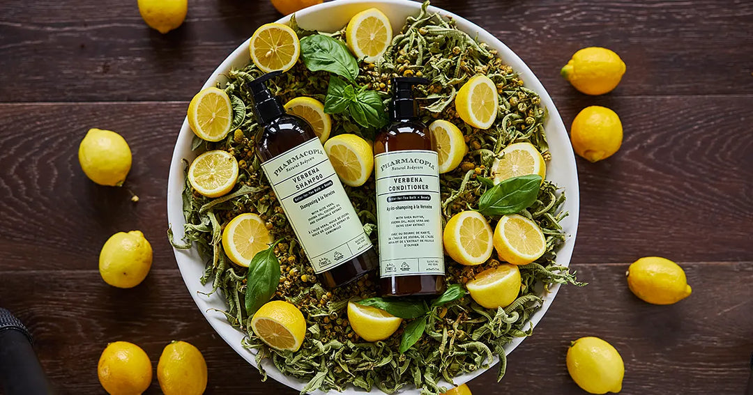 From Field to Flower: Meet Lemon Verbena