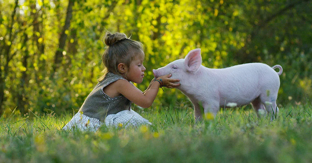 What is Vegan Beauty?