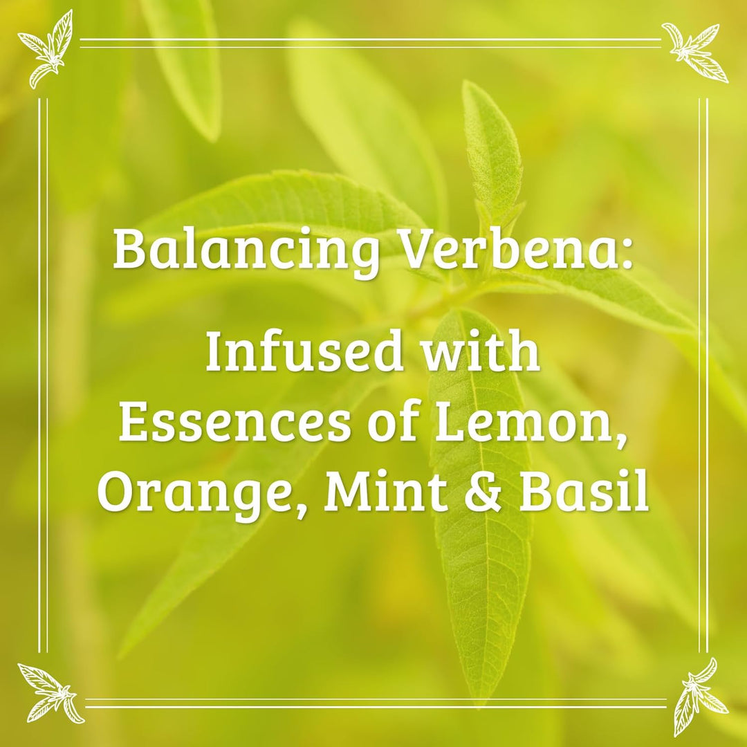Verbena Shampoo and Conditioner Bundle (32 oz total)