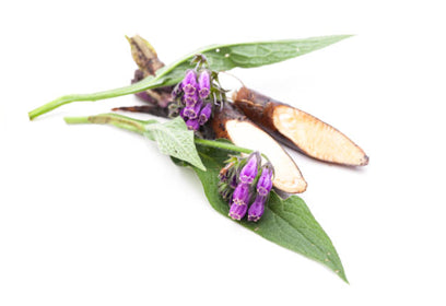 Comfrey Root